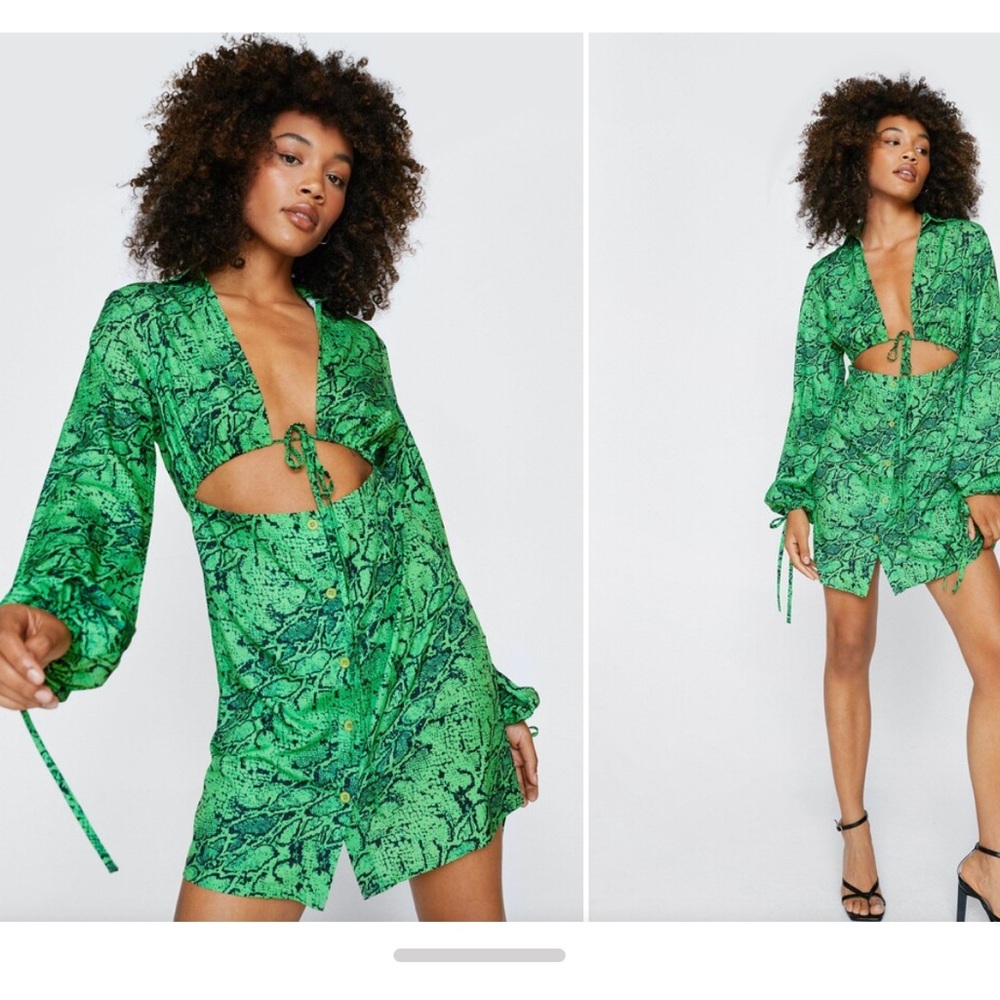 Nasty Gal Green Snake Print Tie Front Dress